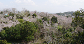 平草原 平草原