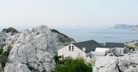 白崎海岸(しらさきかいがん)