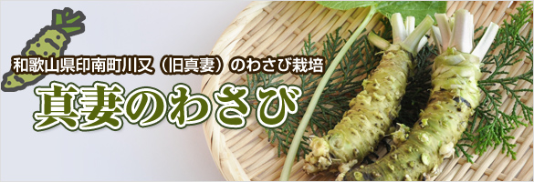 真妻のわさび作り