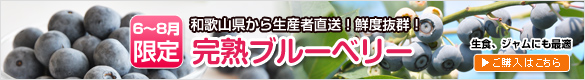 生のブルーベリーのご注文はこちら