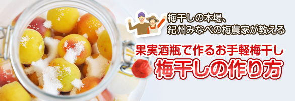果実酒瓶で作る梅干の作り方