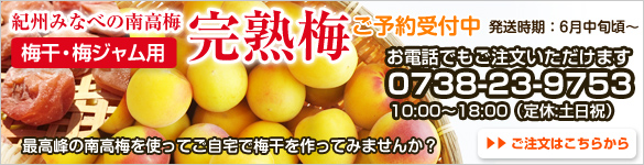 完熟梅の販売