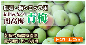 青梅（梅酒・梅シロップ用）のご購入