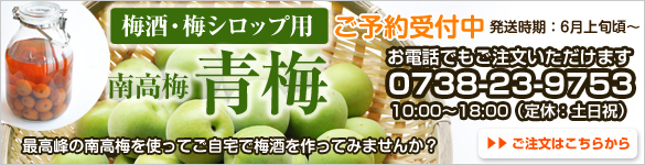 青梅の販売