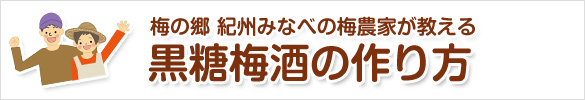 黒糖梅酒の作り方(美味しい黒糖梅酒レシピ)