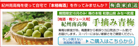 青梅のご購入はこちらから