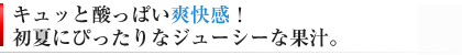 キュッと酸っぱい爽快感