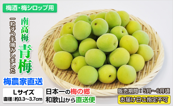 紀州南高梅 青梅