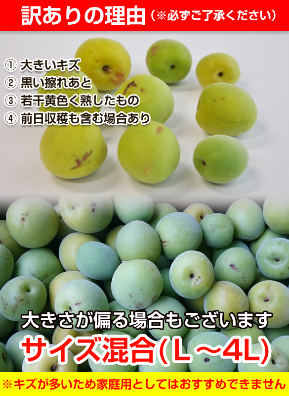 青梅 訳あり
