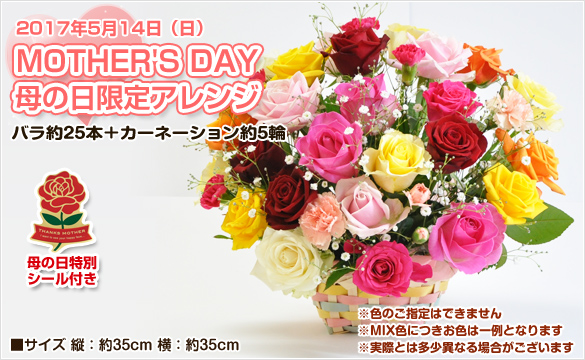 母の日 バラの花 アレンジメント25本