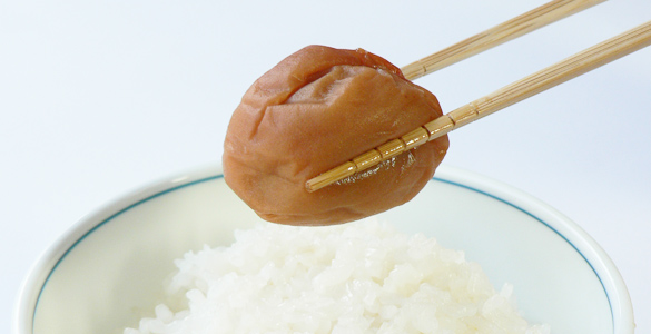 梅干し 南高梅 豊玉梅