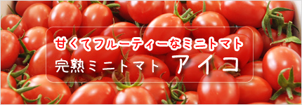 ミニトマト アイコ