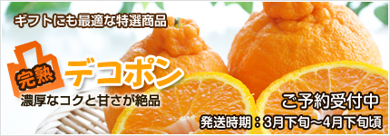 完熟デコポン