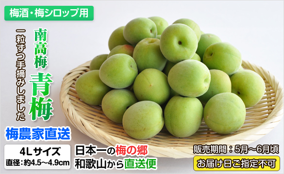 紀州南高梅 青梅