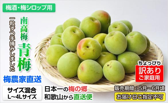 訳あり】手摘み青梅（南高梅） 10kg 【送料無料】 | 和歌山の農家産直 ...