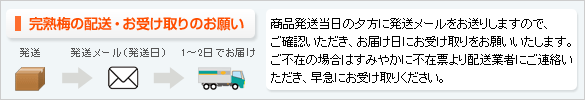 青梅のお届けについて