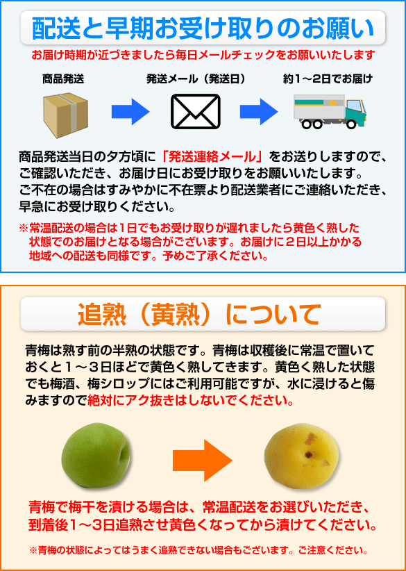 青梅のお届けについて