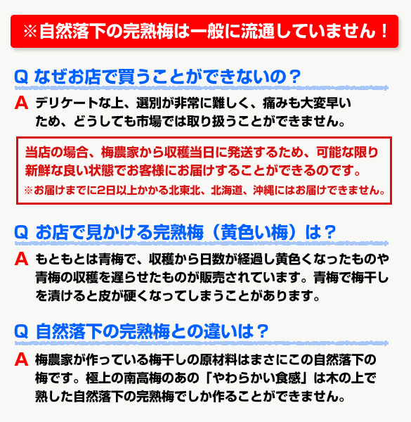 完熟梅についての注意