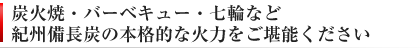 紀州備長炭 アウトドア バーベキュー 本格炭火