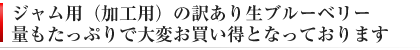 加工用 訳ありブルーベリー