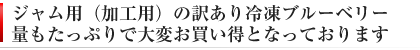 加工用 訳ありブルーベリー 冷凍