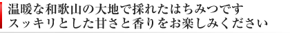 和歌山 みかん畑 はちみつ