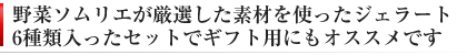 ギフト ジェラートセット（アイスクリームセット）