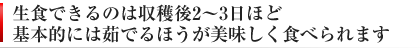 新鮮なファーべは生で食べられます