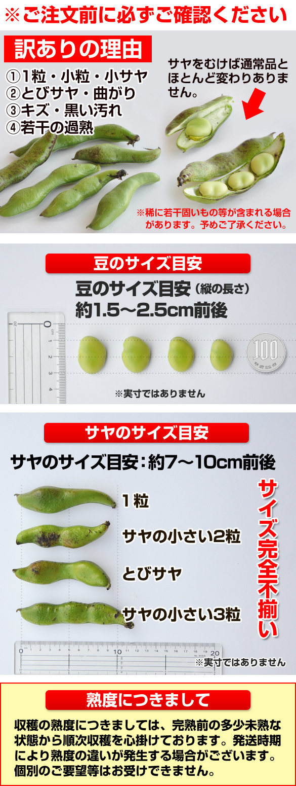 一寸そら豆 訳あり