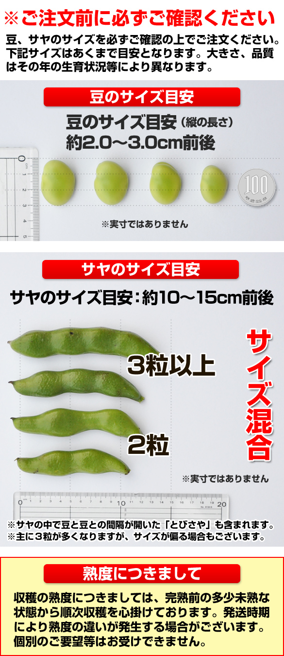 一寸そら豆のさやのサイズ