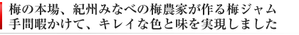 梅の本場、紀州みなべの梅農家が作る梅ジャム