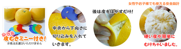 柑橘の皮むき器