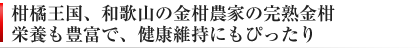 金柑農家直送、風邪予防にも効果