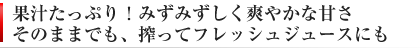 果汁が多い清見オレンジ