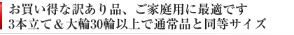 ご家庭用の訳あり胡蝶蘭