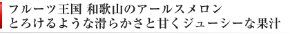 とろけるような甘さ 和歌山のアールスメロン