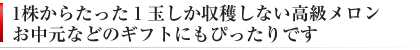 お中元 ギフトに最適な高級メロン