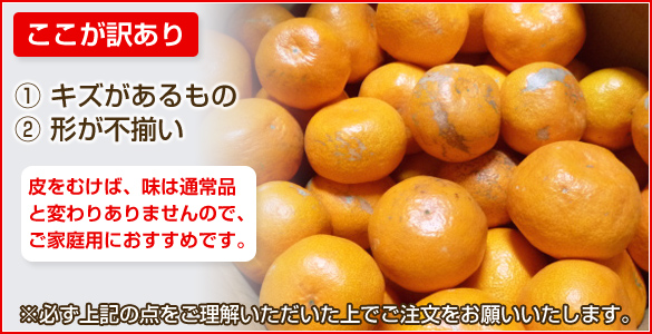 少し訳あり 完熟川辺みかん 10kg 送料無料 和歌山の農家産直通販 和味