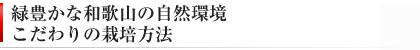 緑豊かな和歌山の自然環境