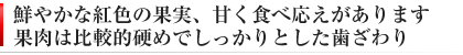 甘く硬めの果肉