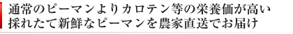 栄養価も豊富で農家直送