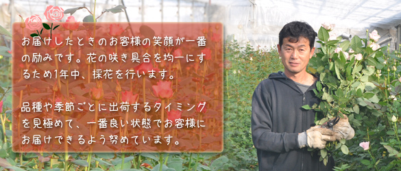 バラの花 生産者 バラさたけ