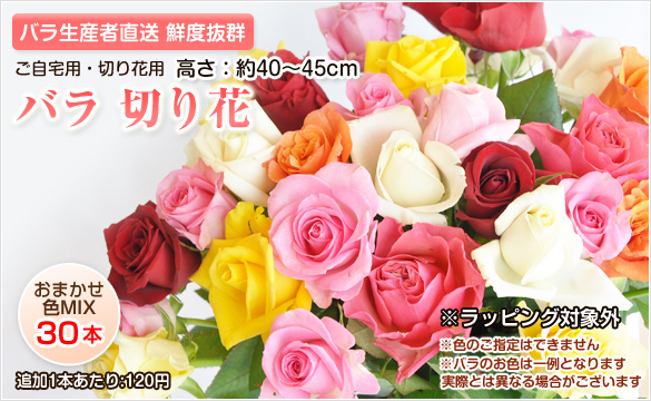 バラの花 切り花ミックス30本(ご自宅・切り花用)