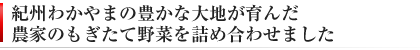 紀州和歌山が育んだ新鮮野菜の詰め合わせセット