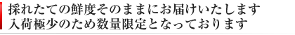 鮮度そのまま全国発送