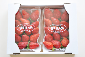 完熟いちご まりひめ 和歌山県産