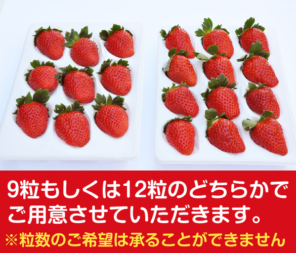 毬姫様 まりひめプレミアム 9粒・12粒