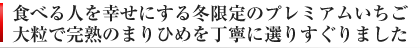 毬姫様 まりひめプレミアム 和歌山県産まりひめ