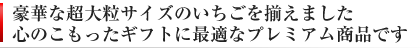 特選　大粒デラックスイチゴ 和歌山県産まりひめ