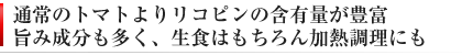 リコピン含有量が豊富